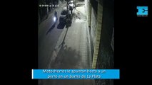 Motochorros se adueñaron de un barrio de La Plata: le apuntaron hasta a un perro