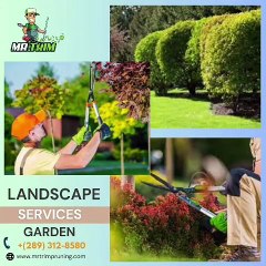 New lawn installation services