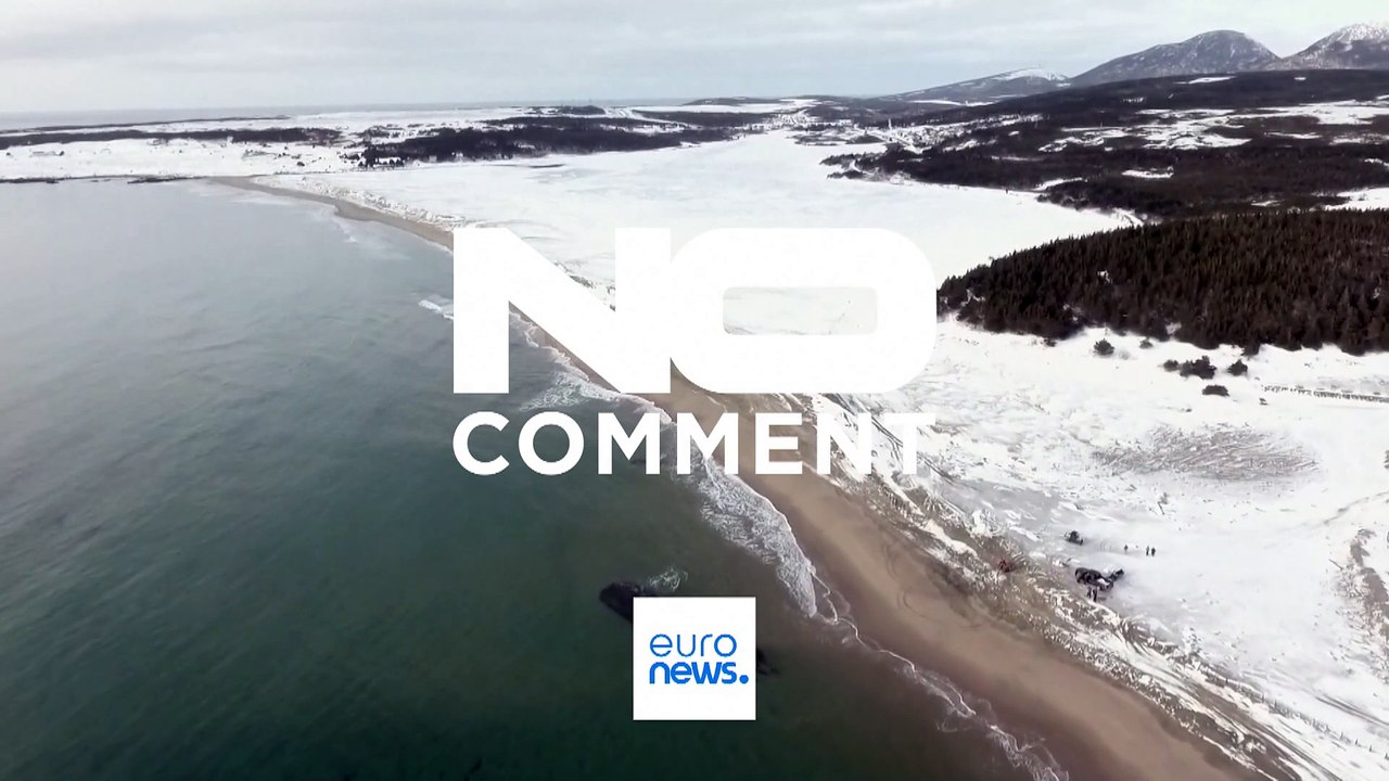 Geheimnisvolles Schiffswrack vor Neufundland entdeckt