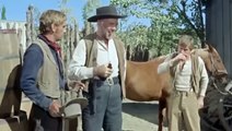 Vadiler Aslanı _ (Shane) Western _ Türkçe Dublaj İzle _ 1953 Yapım _ Film İzle - Full HD