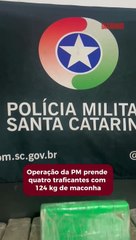 Operação da PM prende quatro traficantes com 124 kg de maconha