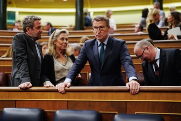 El demoledor discurso de Feijóo contra la Ley de Amnistía