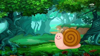 Majid tv - (ماهو ابطا حيوان في العالم) - Explanation Episode 2023