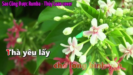 Sao Cũng Được Rumba - Thúy Loan cover