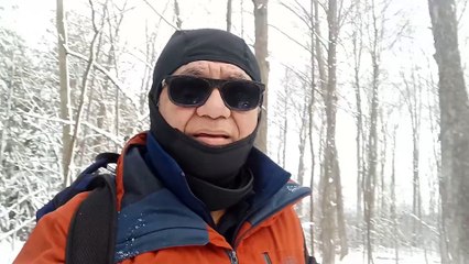 Hiking on the forest on winter