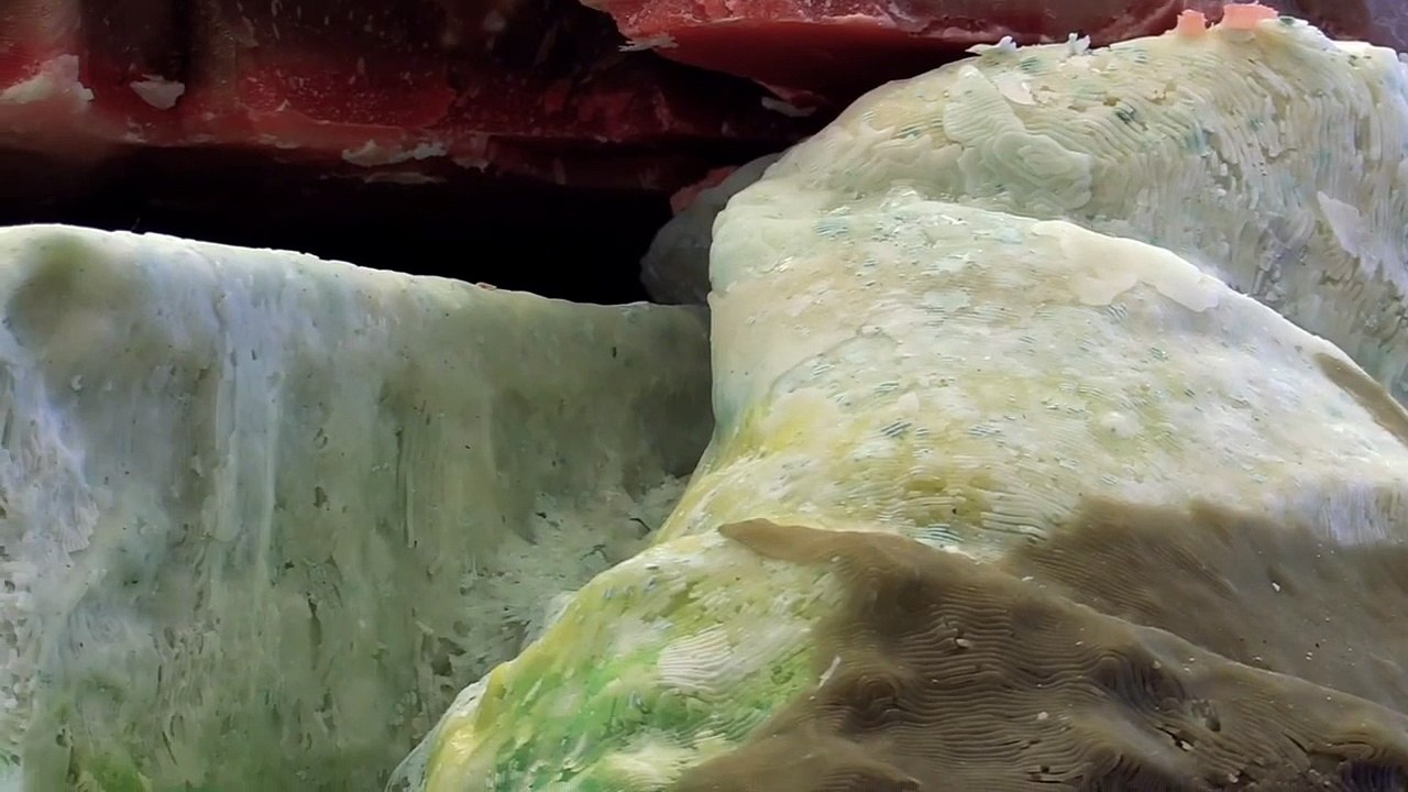 Work of art based on Guildhall Victoria features in Sydney exhibition