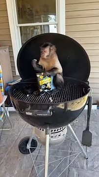 Back porch sitting and popcorn snacking