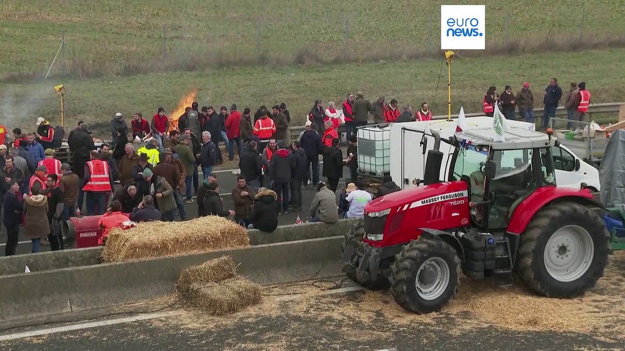 Bauernproteste in Frankreich und Belgien – Schaden für Spediteure