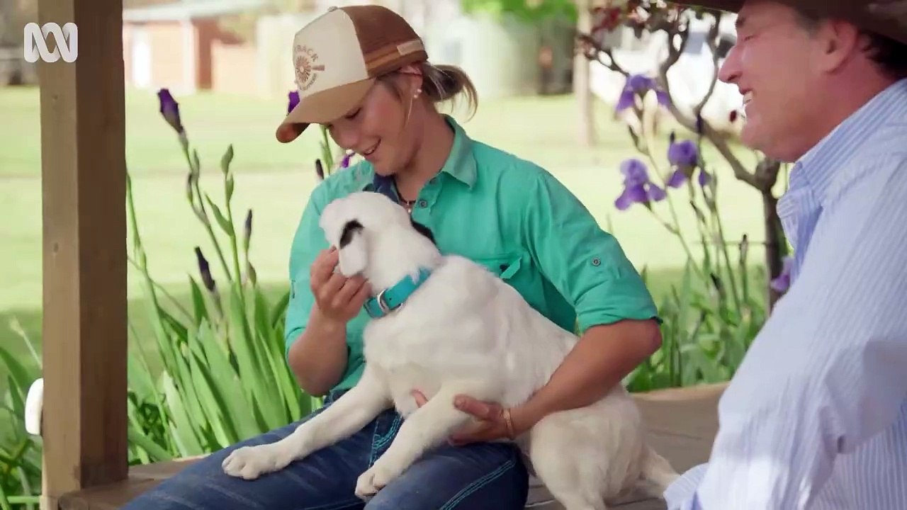 Muster Dogs Saison 1 - Muster Dogs Season 2 Official Trailer | ABC Australia (EN)