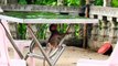Really Cute Small TESSA Monkey Sitting Under Table (720p_25fps_H264-192kbit_AAC)