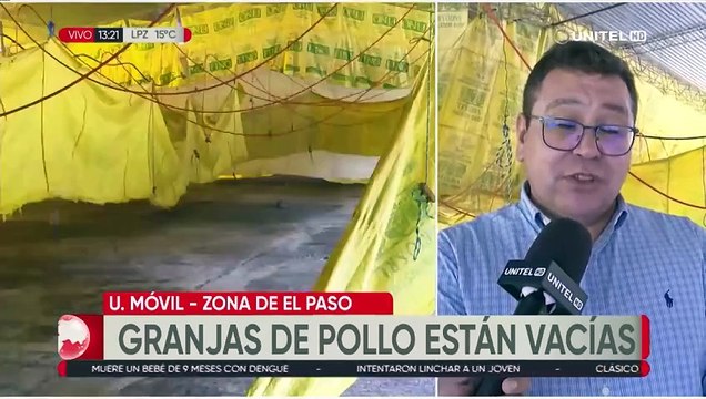 Bloqueos: No llegan los pollitos bebé y el alimento desde Santa Cruz a las granjas en Cochabamba