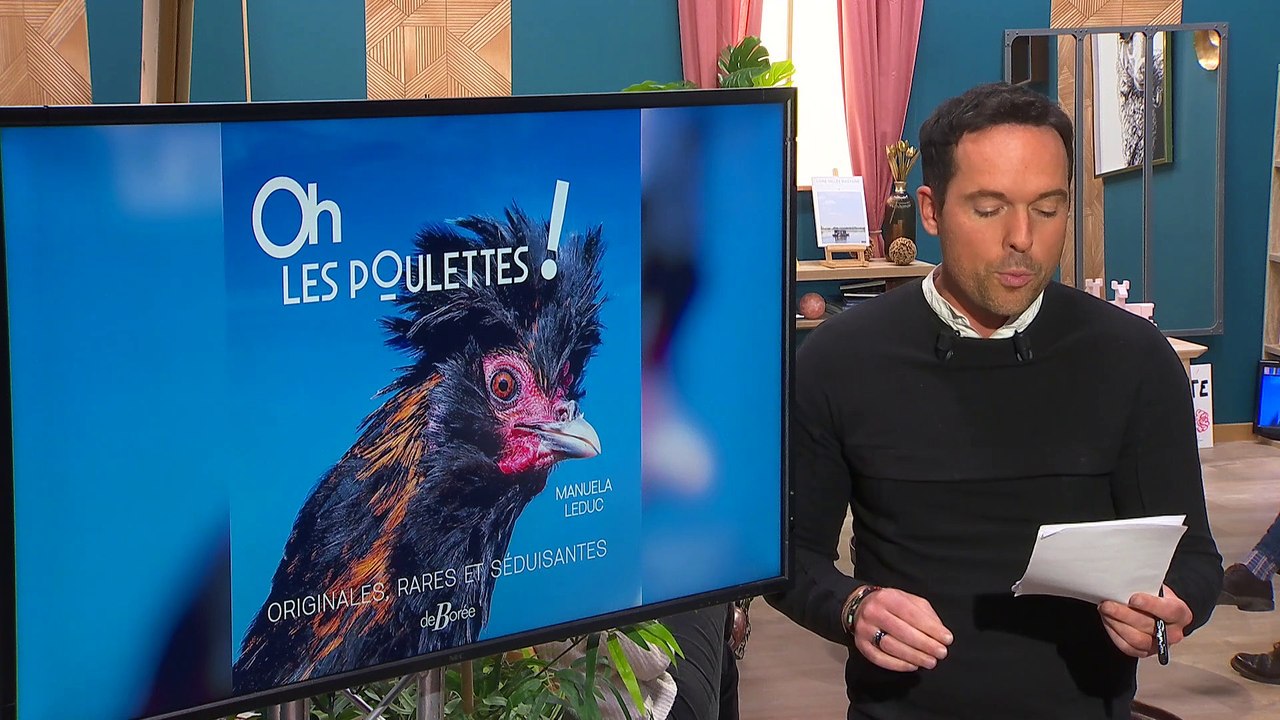Local Génial - 30/01/2024 - Manuella nous présente ses poulettes
