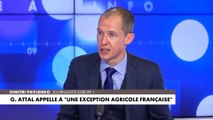 Dimitri Pavlenko : «Les agriculteurs sont ramenés à ce qu’ils sont en effectif : moins d’un demi-million de Français»