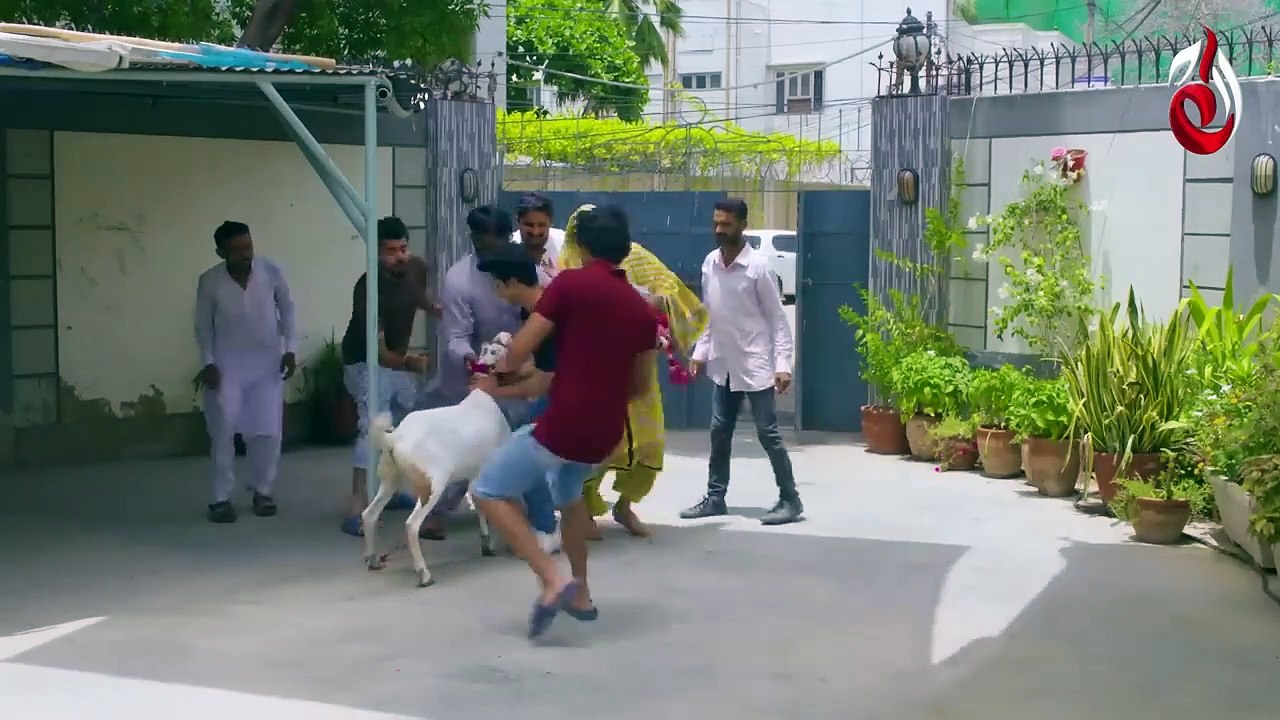 Social Bakra _ Telefilm