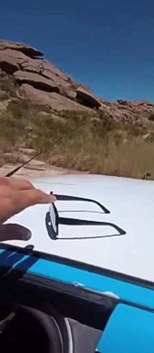Obligaron a un turista a limpiar una piedra de...