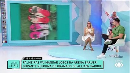 Palmeiras busca por soluções para gramado do Allianz Parque