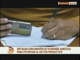 AN Instala subcomisión de economía agrícola para fortalecer el sector productivo del país