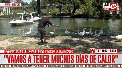 Ola de calor: ¿Cómo sobrevivimos a estas temperaturas?