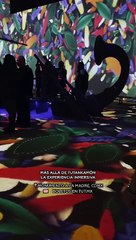 Exposición inmersiva de TUTANKAMON