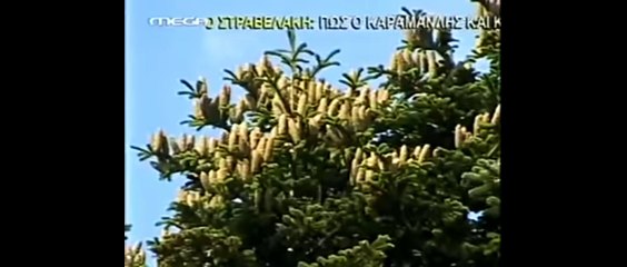 Greek YTP - Ο Ηλίας Μαμαλάκης τρώει ζεστό γάλα της Ευδοκίας και τον τσέλιγκα του Μπόκτορα Εκτρίνιο