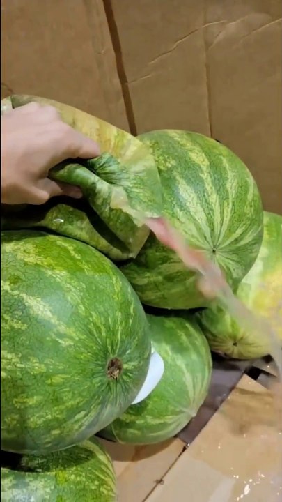Have you ever seen such watermelon??