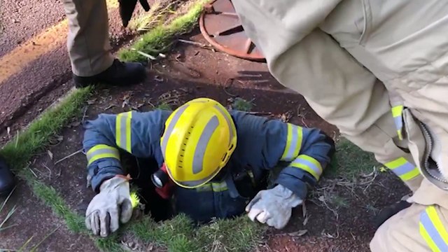 Bombeiros resgatam gatinho que caiu em bueiro no Recanto Tropical