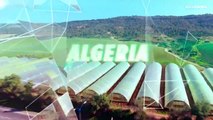 الجزائر الزراعة بولاية وادي سوف الصحراوية