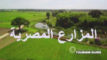 Egyptian Farms Journey to the Nile's Countryside to Explore Rural Life المزارع المصرية رحلة إلى أرياف النيل لاستكشاف الحياة الريفية