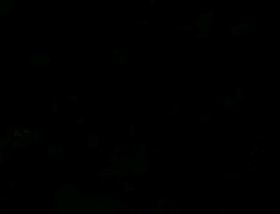 Jelena Brocic - Bele rade - Moravski biseri 2003