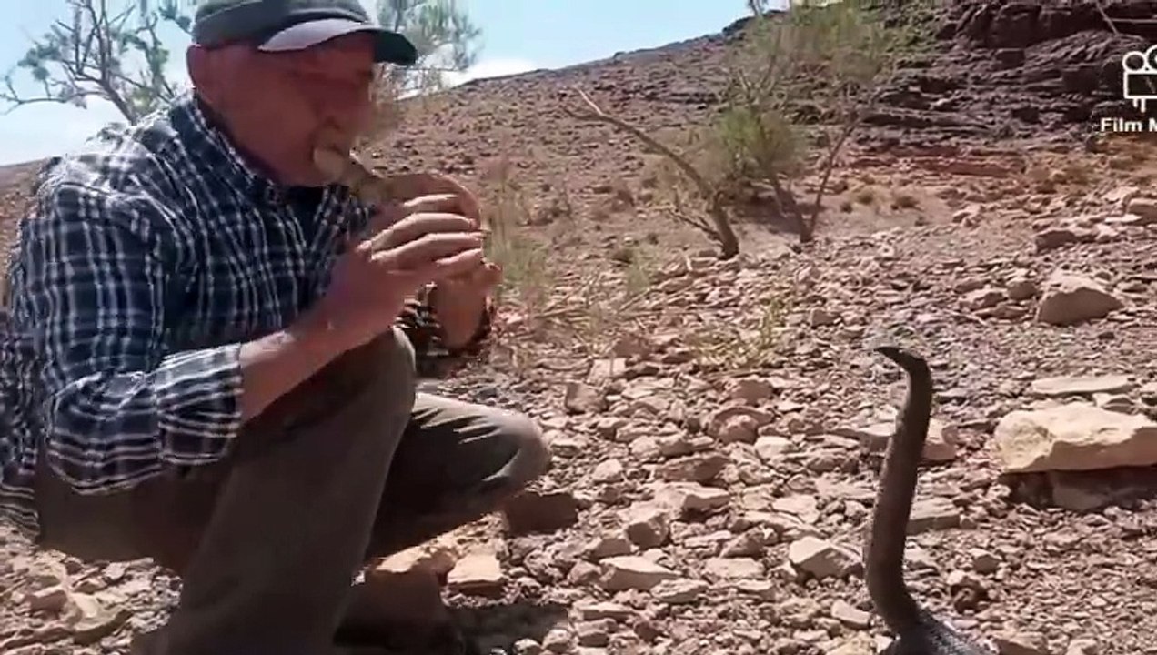 How to tame snakes in Morocco