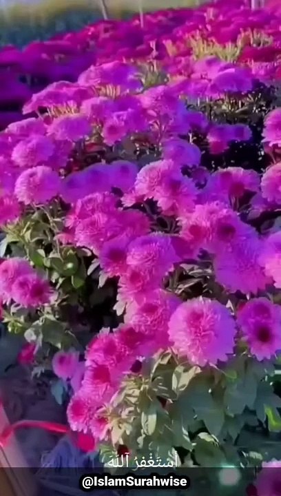 #astaghfirullah_#allah_#quran_#islam_#islamic_#shorts_#short(720p)