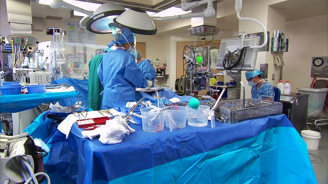 Don d'organes et de tissus : Québec se penche sur le consentement présumé