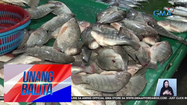 Presyo ng tilapia sa Blumentritt Market, tumaas; Bangus, bahagyang bumaba ang presyo | UB