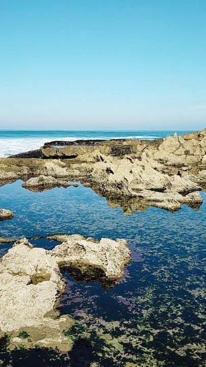 Seaside Serenity: Captivating Views of the Beach