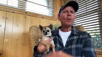 Angry Dog Getting Pet