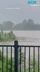 下载视频: Kangaroo swims across floodwaters in Queensland