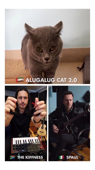 Meow