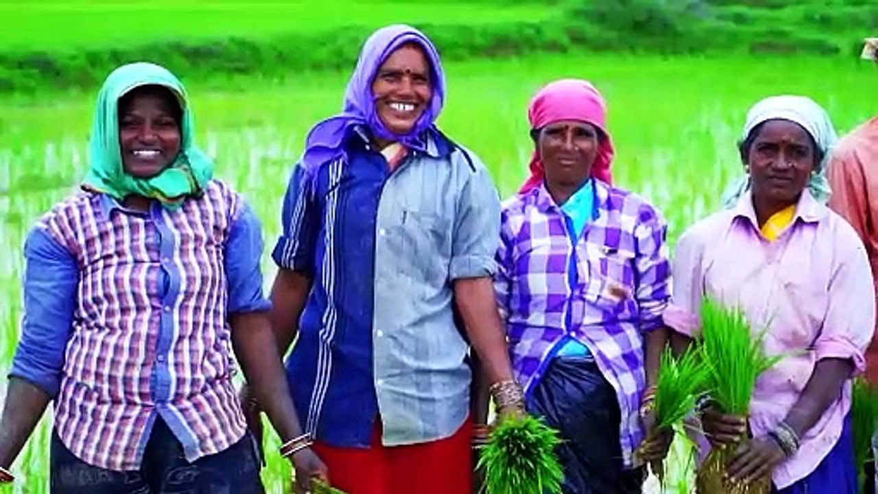 Paddy procurement:छ्त्तीसगढ़ में बना धान खरीदी का नया रिकार्ड