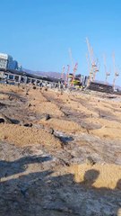 Qabarstan Janat Ul Baqi Madina #shorts #viral #trending #pilwaaltv #asadnisar