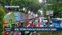 Akibat Hujan Deras dan Angin Kencang, Pohon Tumbang Timpa Mobil di Cawang