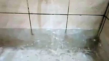 Water as the Source of Life