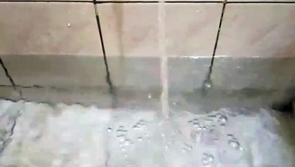 Water as the Source of Life