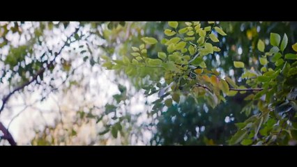 After Sundown (2023) – Heartfelt BL Movie You Can't Miss 🌅