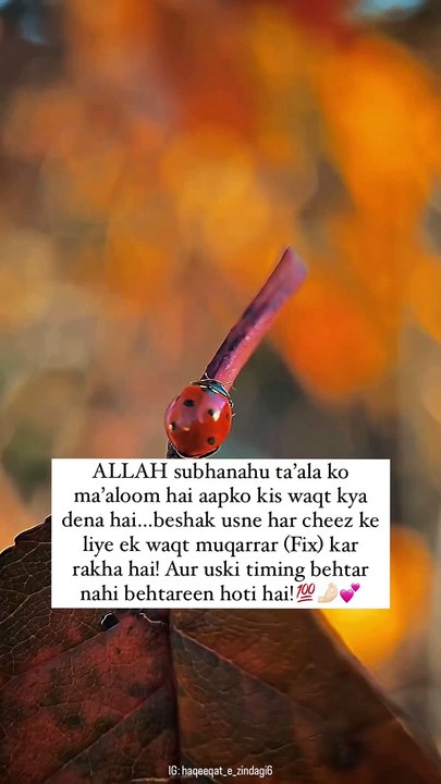Har Cheez k liye ek Waqt Mukarrar ha ️