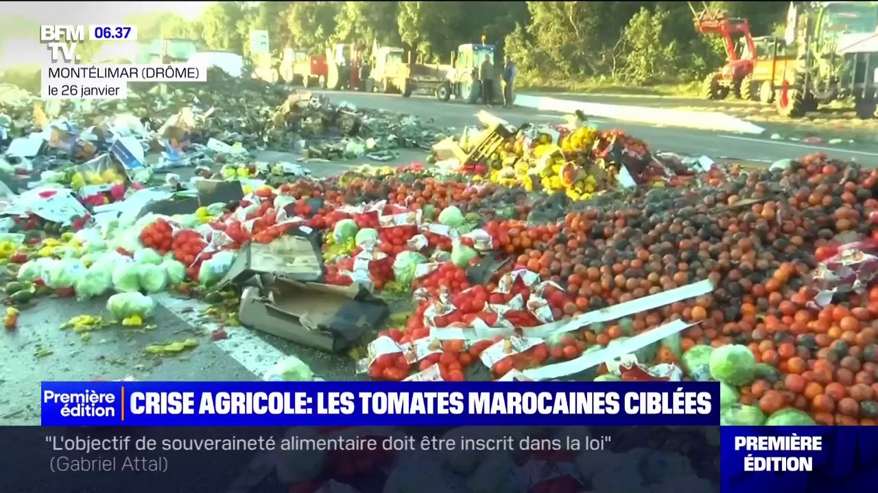 Colère des agricoles: les tomates marocaines ciblées et accusées de concurrence déloyale