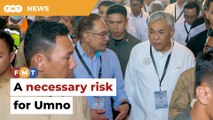 Sticking with PH a necessary risk for Umno, say analysts