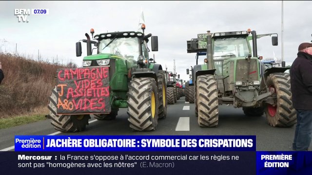 On pourrait perdre 2.000 euros par hectares : les jachères obligatoires, imposées par l'Europe, devenues le symbole de crispations des agriculteurs
