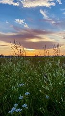 The Dance of Desire_ Love, Intimacy, and Understanding