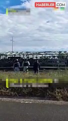 Meksika'da tur otobüsü kamyonla çarpıştı! 19 ölü, 22 yaralı