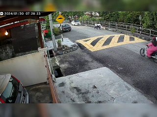 姐妹步行上学遭遇狗纠缠，女孩跌倒幸未被咬伤🐶